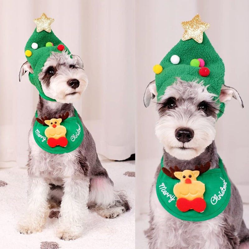 PAWsome Holiday Pet Hat Set