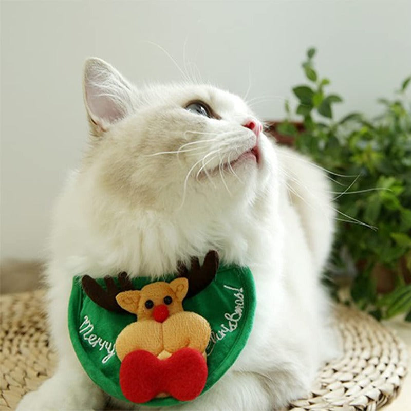 PAWsome Holiday Pet Hat Set